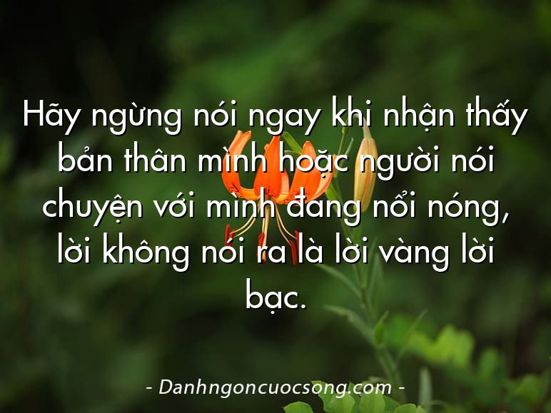Hãy ngừng nói ngay khi nhận thấy bản thân mình hoặc người nói chuyện với mình đang nổi nóng, lời không nói ra là lời vàng lời bạc.