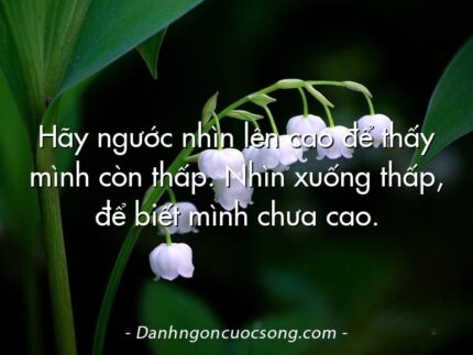 Hãy ngước nhìn lên cao để thấy mình còn thấp. Nhìn xuống thấp, để biết mình chưa cao.