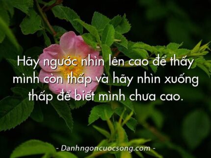 Hãy ngước nhìn lên cao để thấy mình còn thấp và hãy nhìn xuống thấp để biết mình chưa cao.