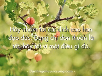 Hãy nhắm tới cái đích cao hơn đạo đức. Đừng chỉ đơn thuần là tốt, hãy tốt vì một điều gì đó.