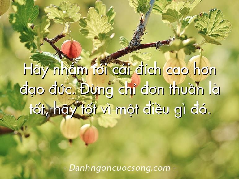 Hãy nhắm tới cái đích cao hơn đạo đức. Đừng chỉ đơn thuần là tốt, hãy tốt vì một điều gì đó.