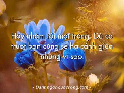 Hãy nhắm tới mặt trăng. Dù có trượt bạn cũng sẽ hạ cánh giữa những vì sao.