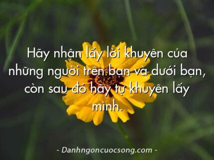 Hãy nhận lấy lời khuyên của những người trên bạn và dưới bạn, còn sau đó hãy tự khuyên lấy mình.