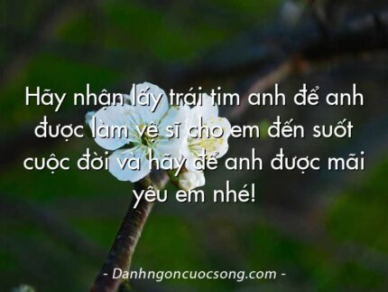 Hãy nhận lấy trái tim anh để anh được làm vệ sĩ cho em đến suốt cuộc đời và hãy để anh được mãi yêu em nhé!