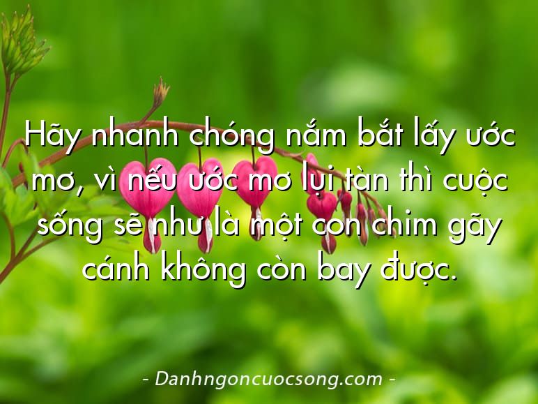 Hãy nhanh chóng nắm bắt lấy ước mơ, vì nếu ước mơ lụi tàn thì cuộc sống sẽ như là một con chim gãy cánh không còn bay được.
