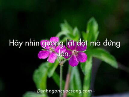 Hãy nhìn gương lật đật mà đứng lên.