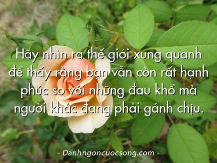 Hãy nhìn ra thế giới xung quanh để thấy rằng bạn vẫn còn rất hạnh phúc so với những đau khổ mà người khác đang phải gánh chịu.