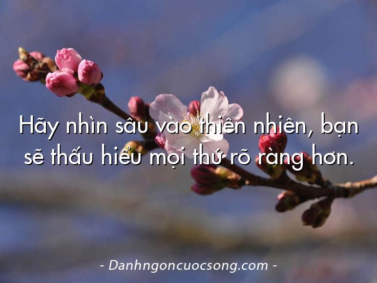Hãy nhìn sâu vào thiên nhiên, bạn sẽ thấu hiểu mọi thứ rõ ràng hơn.