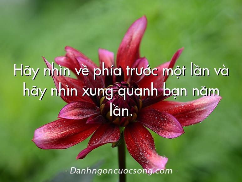 Hãy nhìn về phía trước một lần và hãy nhìn xung quanh bạn năm lần.