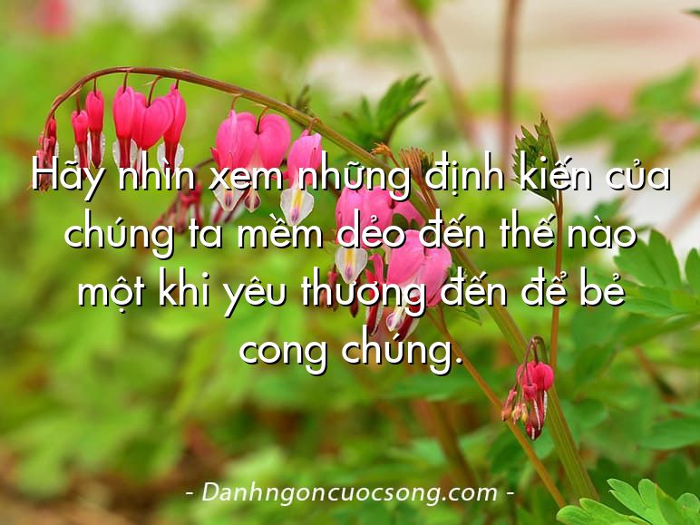 Hãy nhìn xem những định kiến của chúng ta mềm dẻo đến thế nào một khi yêu thương đến để bẻ cong chúng.