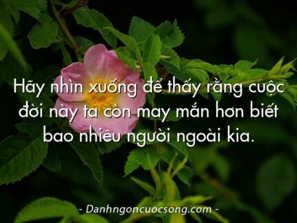 Hãy nhìn xuống để thấy rằng cuộc đời này ta còn may mắn hơn biết bao nhiêu người ngoài kia.