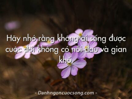 Hãy nhớ rằng không ai sống được cuộc đời không có nỗi đau và gian khổ.