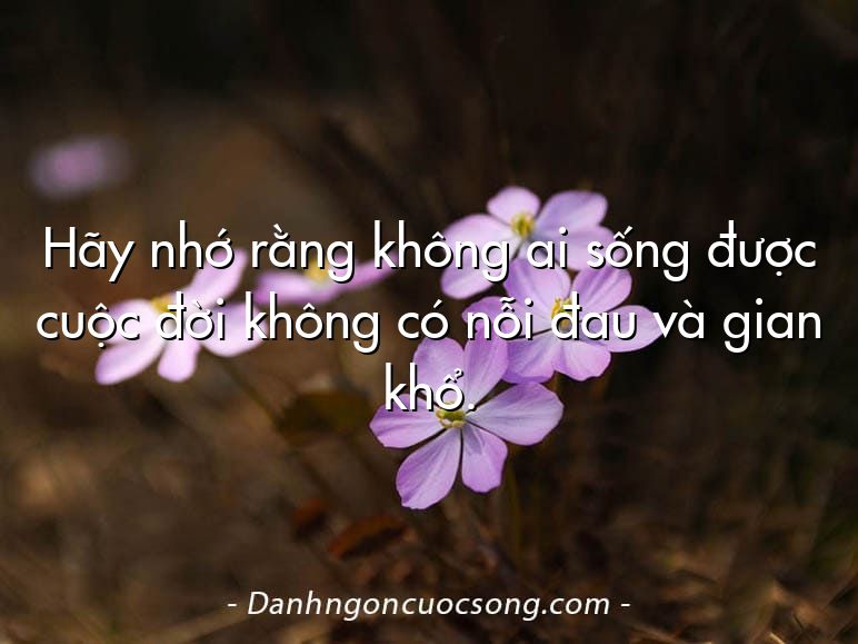 Hãy nhớ rằng không ai sống được cuộc đời không có nỗi đau và gian khổ.