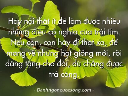 Hãy nói thật ít để làm được nhiều những điều có nghĩa của trái tim. Nếu cần, con hãy đi thật xa, để mang về những hạt giống mới, rồi dâng tặng cho đời, dù chẳng được trả công.
