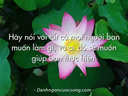 Hãy nói với tất cả mọi người bạn muốn làm gì, và ai đó sẽ muốn giúp bạn thực hiện.