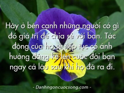 Hãy ở bên cạnh những người có gì đó giá trị để chia sẻ với bạn. Tác động của họ sẽ tiếp tục có ảnh hưởng đáng kể lên cuộc đời bạn ngay cả lâu sau khi họ đã ra đi.