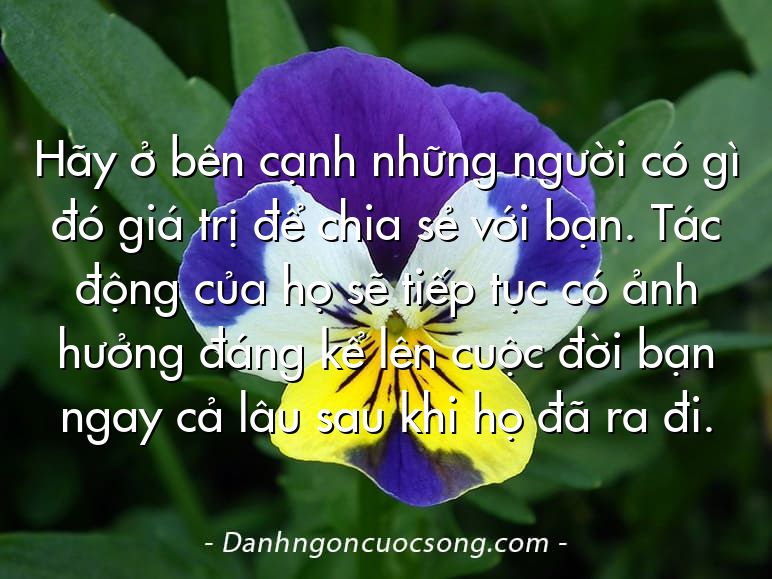 Hãy ở bên cạnh những người có gì đó giá trị để chia sẻ với bạn. Tác động của họ sẽ tiếp tục có ảnh hưởng đáng kể lên cuộc đời bạn ngay cả lâu sau khi họ đã ra đi.