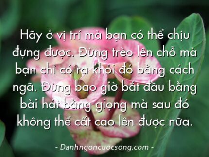 Hãy ở vị trí mà bạn có thể chịu đựng được. Đừng trèo lên chỗ mà bạn chỉ có ra khỏi đó bằng cách ngã. Đừng bao giờ bắt đầu bằng bài hát bằng giọng mà sau đó không thể cất cao lên được nữa.
