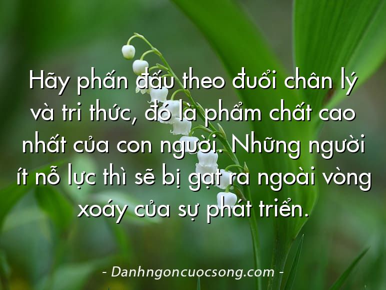 Hãy phấn đấu theo đuổi chân lý và tri thức, đó là phẩm chất cao nhất của con người. Những người ít nỗ lực thì sẽ bị gạt ra ngoài vòng xoáy của sự phát triển.