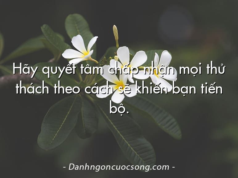 Hãy quyết tâm chấp nhận mọi thử thách theo cách sẽ khiến bạn tiến bộ.