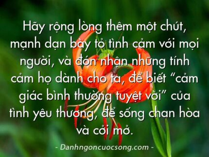 Hãy rộng lòng thêm một chút, mạnh dạn bày tỏ tình cảm với mọi người, và đón nhận những tính cảm họ dành cho ta, để biết “cảm giác bình thường tuyệt vời” của tình yêu thương, để sống chan hòa và cởi mở.