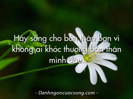 Hãy sống cho bản thân bạn vì không ai khóc thương bản thân mình đâu.