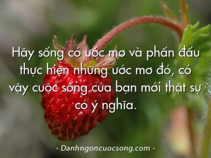 Hãy sống có ước mơ và phấn đấu thực hiện những ước mơ đó, có vậy cuộc sống của bạn mới thật sự có ý nghĩa.