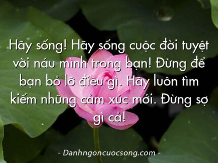 Hãy sống! Hãy sống cuộc đời tuyệt vời náu mình trong bạn! Đừng để bạn bỏ lỡ điều gì. Hãy luôn tìm kiếm những cảm xúc mới. Đừng sợ gì cả!