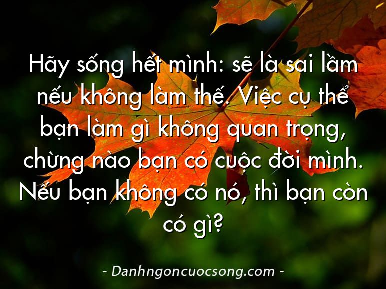 Hãy sống hết mình: sẽ là sai lầm nếu không làm thế. Việc cụ thể bạn làm gì không quan trọng, chừng nào bạn có cuộc đời mình. Nếu bạn không có nó, thì bạn còn có gì?