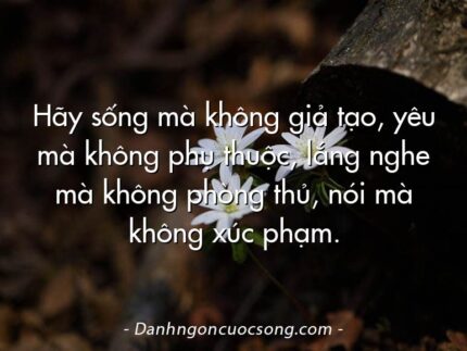 Hãy sống mà không giả tạo, yêu mà không phụ thuộc, lắng nghe mà không phòng thủ, nói mà không xúc phạm.