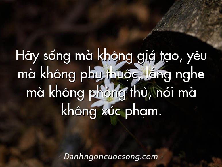 Hãy sống mà không giả tạo, yêu mà không phụ thuộc, lắng nghe mà không phòng thủ, nói mà không xúc phạm.