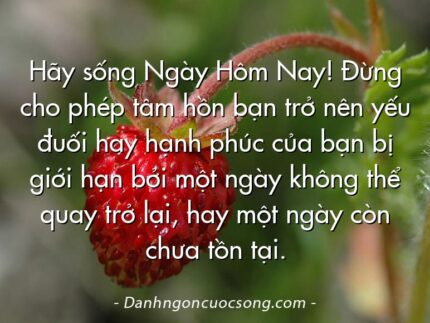 Hãy sống Ngày Hôm Nay! Đừng cho phép tâm hồn bạn trở nên yếu đuối hay hạnh phúc của bạn bị giới hạn bởi một ngày không thể quay trở lại, hay một ngày còn chưa tồn tại.