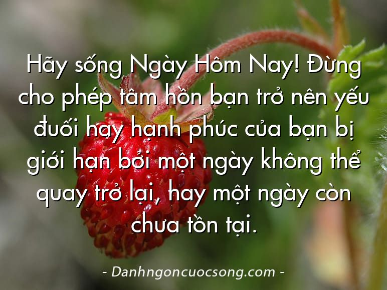Hãy sống Ngày Hôm Nay! Đừng cho phép tâm hồn bạn trở nên yếu đuối hay hạnh phúc của bạn bị giới hạn bởi một ngày không thể quay trở lại, hay một ngày còn chưa tồn tại.