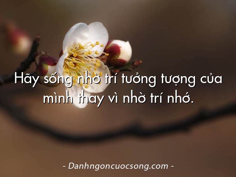 Hãy sống nhờ trí tưởng tượng của mình thay vì nhờ trí nhớ.