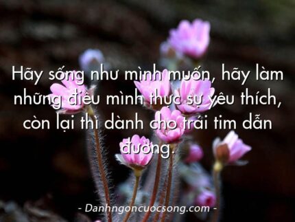 Hãy sống như mình muốn, hãy làm những điều mình thực sự yêu thích, còn lại thì dành cho trái tim dẫn đường.