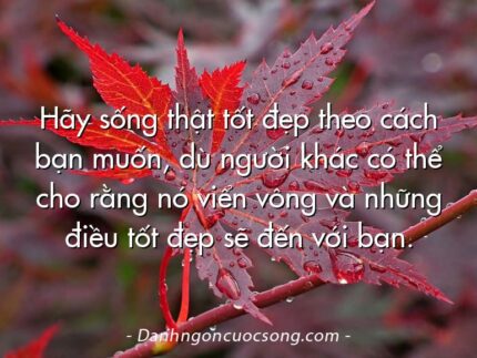 Hãy sống thật tốt đẹp theo cách bạn muốn, dù người khác có thể cho rằng nó viển vông và những điều tốt đẹp sẽ đến với bạn.