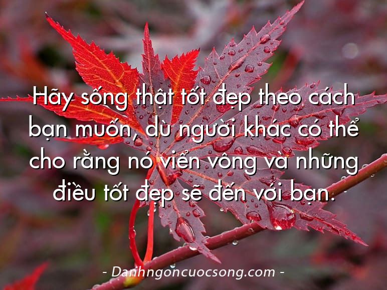 Hãy sống thật tốt đẹp theo cách bạn muốn, dù người khác có thể cho rằng nó viển vông và những điều tốt đẹp sẽ đến với bạn.