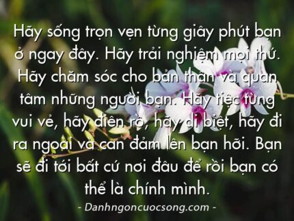 Hãy sống trọn vẹn từng giây phút bạn ở ngay đây. Hãy trải  nghiệm mọi thứ.  Hãy chăm sóc cho bản thân và quan tâm những người bạn. Hãy tiệc tùng vui vẻ, hãy điên rồ, hãy di biệt, hãy đi ra ngoài và can đảm lên bạn hỡi. Bạn sẽ đi tới bất cứ nơi đâu để rồi bạn có thể là chính mình.
