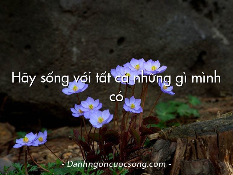 Hãy sống với tất cả những gì mình có