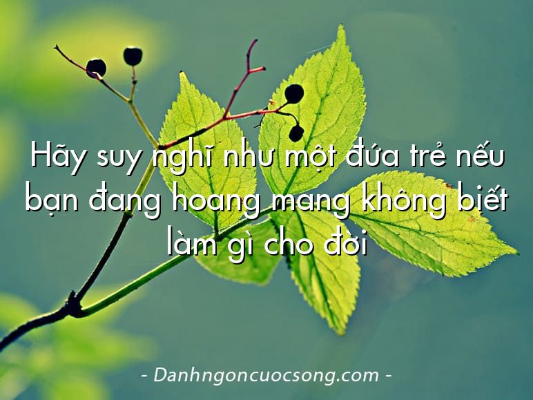 Hãy suy nghĩ như một đứa trẻ nếu bạn đang hoang mang không biết làm gì cho đời