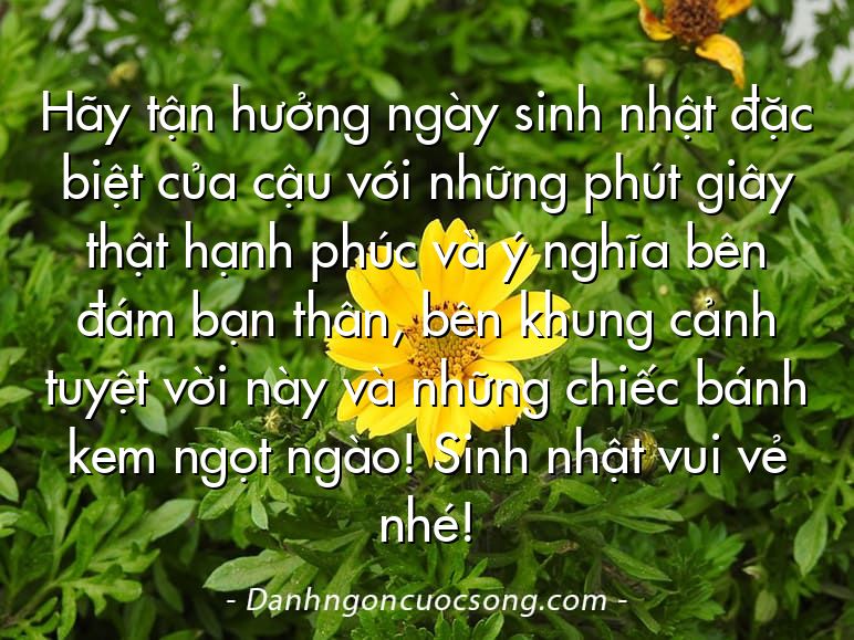 Hãy tận hưởng ngày sinh nhật đặc biệt của cậu với những phút giây thật hạnh phúc và ý nghĩa bên đám bạn thân, bên khung cảnh tuyệt vời này và những chiếc bánh kem ngọt ngào! Sinh nhật vui vẻ nhé!