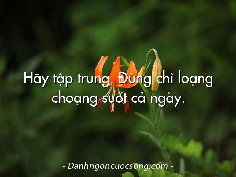 Hãy tập trung. Đừng chỉ loạng choạng suốt cả ngày.