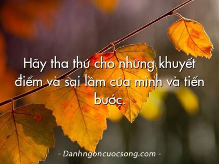 Hãy tha thứ cho những khuyết điểm và sai lầm của mình và tiến bước.