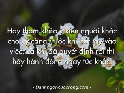 Hãy tham khảo ý kiến người khác cho kỹ càng trước khi bắt tay vào việc, và khi đã quyết định rồi thì hãy hành động ngay tức khắc.