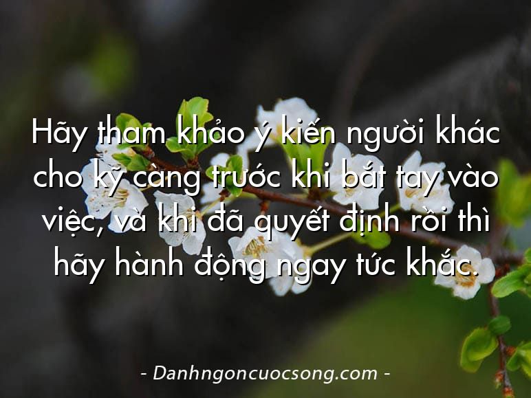 Hãy tham khảo ý kiến người khác cho kỹ càng trước khi bắt tay vào việc, và khi đã quyết định rồi thì hãy hành động ngay tức khắc.