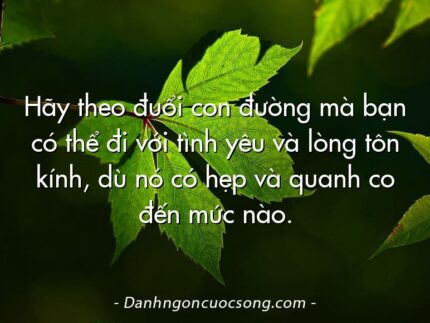 Hãy theo đuổi con đường mà bạn có thể đi với tình yêu và lòng tôn kính, dù nó có hẹp và quanh co đến mức nào.