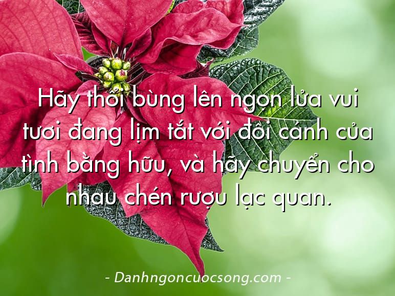 Hãy thổi bùng lên ngọn lửa vui tươi đang lịm tắt với đôi cánh của tình bằng hữu, và hãy chuyển cho nhau chén rượu lạc quan.