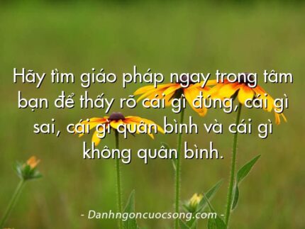 Hãy tìm giáo pháp ngay trong tâm bạn để thấy rõ cái gì đúng, cái gì sai, cái gì quân bình và cái gì không quân bình.