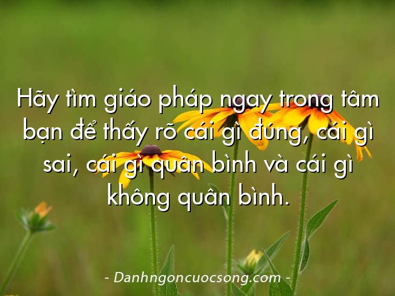 Hãy tìm giáo pháp ngay trong tâm bạn để thấy rõ cái gì đúng, cái gì sai, cái gì quân bình và cái gì không quân bình.