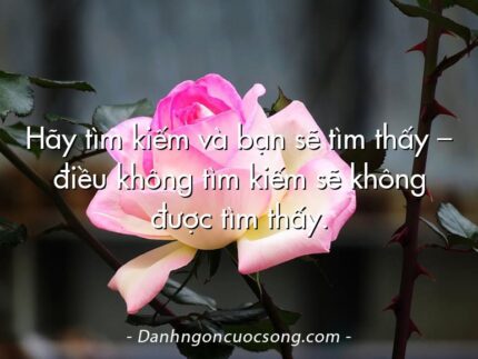 Hãy tìm kiếm và bạn sẽ tìm thấy – điều không tìm kiếm sẽ không được tìm thấy.